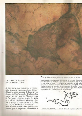 LAMINA 15822: Bisonte de la Cueva de Altamira
