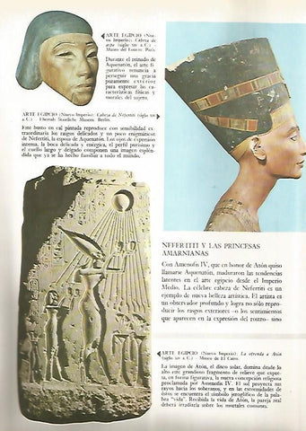 LAMINA 15899: Bussto de Nefertiti, Egipto