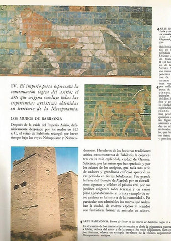 LAMINA 15870: Relieves y Puerta de Ishtar de Babilonia, Irak