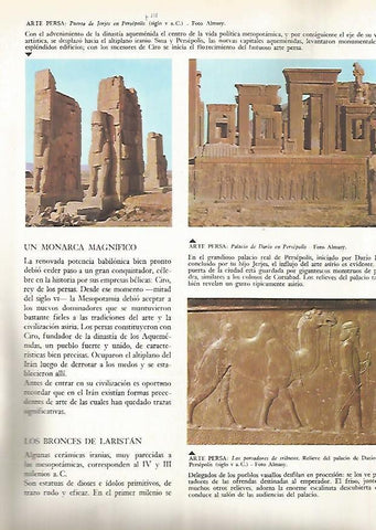 LAMINA 15871: Persepolis, Iran
