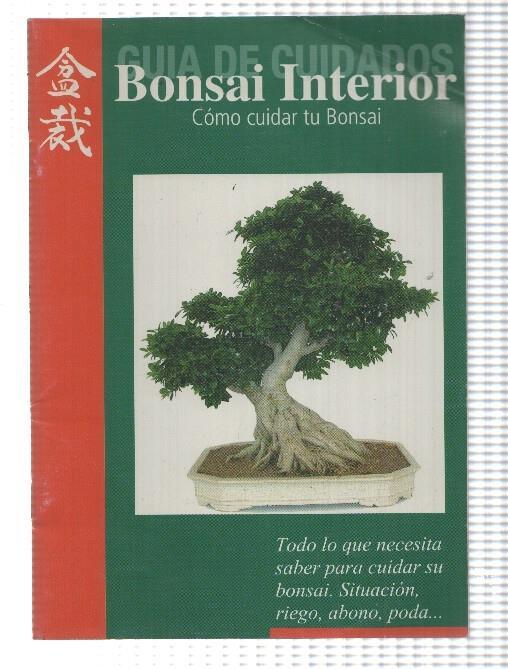 Guia de cuidados, Bonsai Interior. Como cuidar tu Bonsai (situacion, riego, abono, poda...)