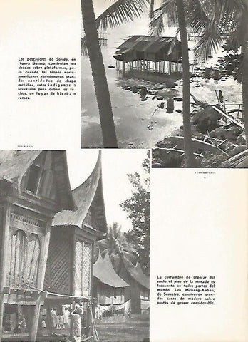 LAMINA 16273: Sorido, Nueva Guinea