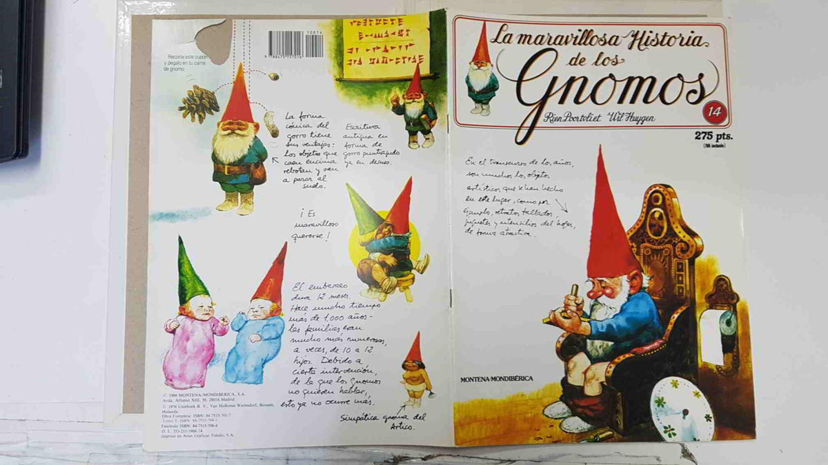 La maravillosa historia de los gnomos fasciculo numero 14