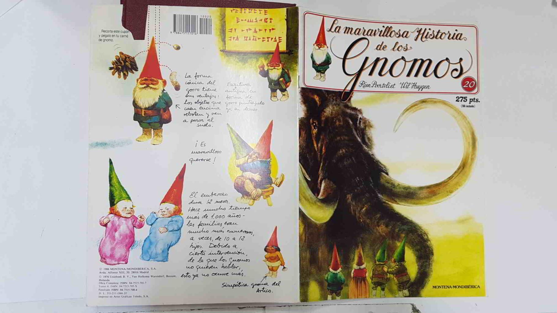 La maravillosa historia de los gnomos fasciculo numero 20