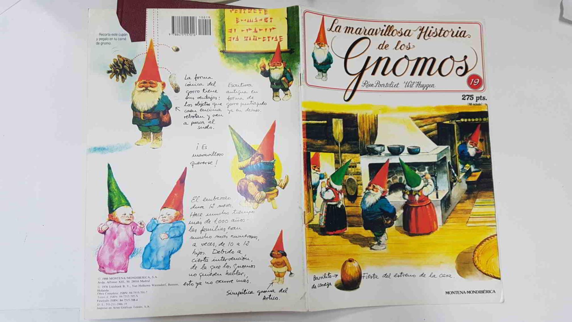 La maravillosa historia de los gnomos fasciculo numero 19