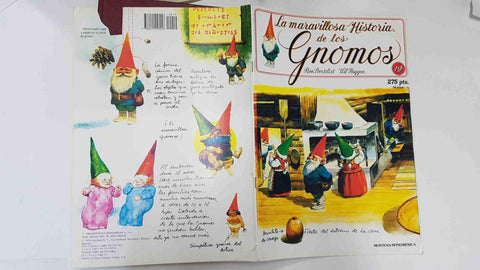 La maravillosa historia de los gnomos fasciculo numero 19