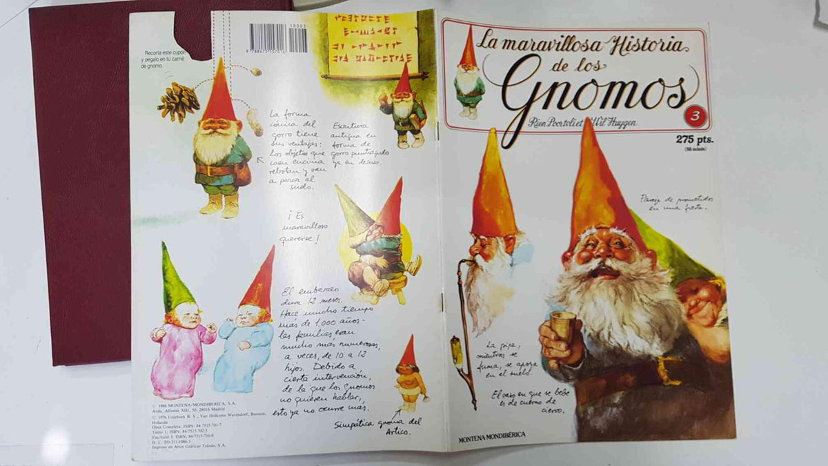 La maravillosa historia de los gnomos fasciculo numero 03
