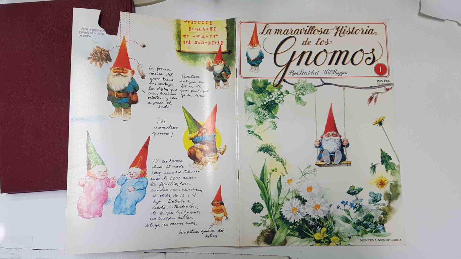 La maravillosa historia de los gnomos fasciculo numero 01