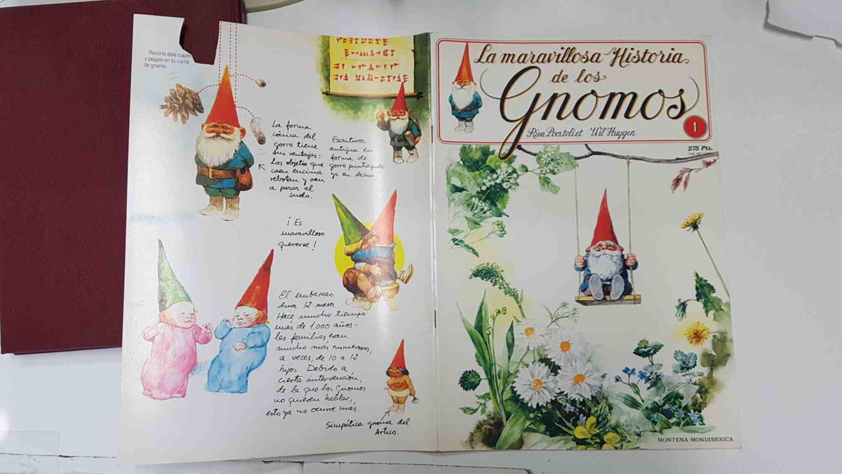 La maravillosa historia de los gnomos fasciculo numero 01