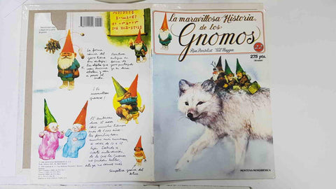 La maravillosa historia de los gnomos fasciculo numero 22