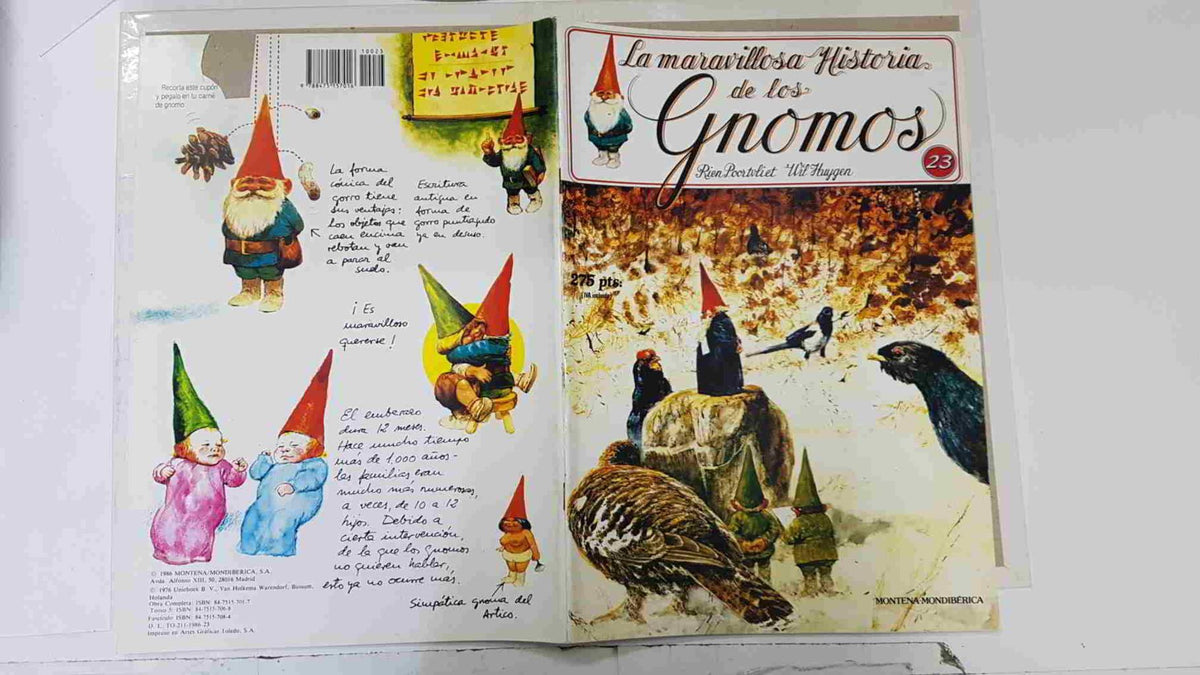 La maravillosa historia de los gnomos fasciculo numero 23