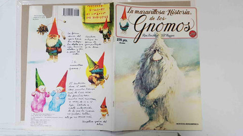 La maravillosa historia de los gnomos fasciculo numero 25