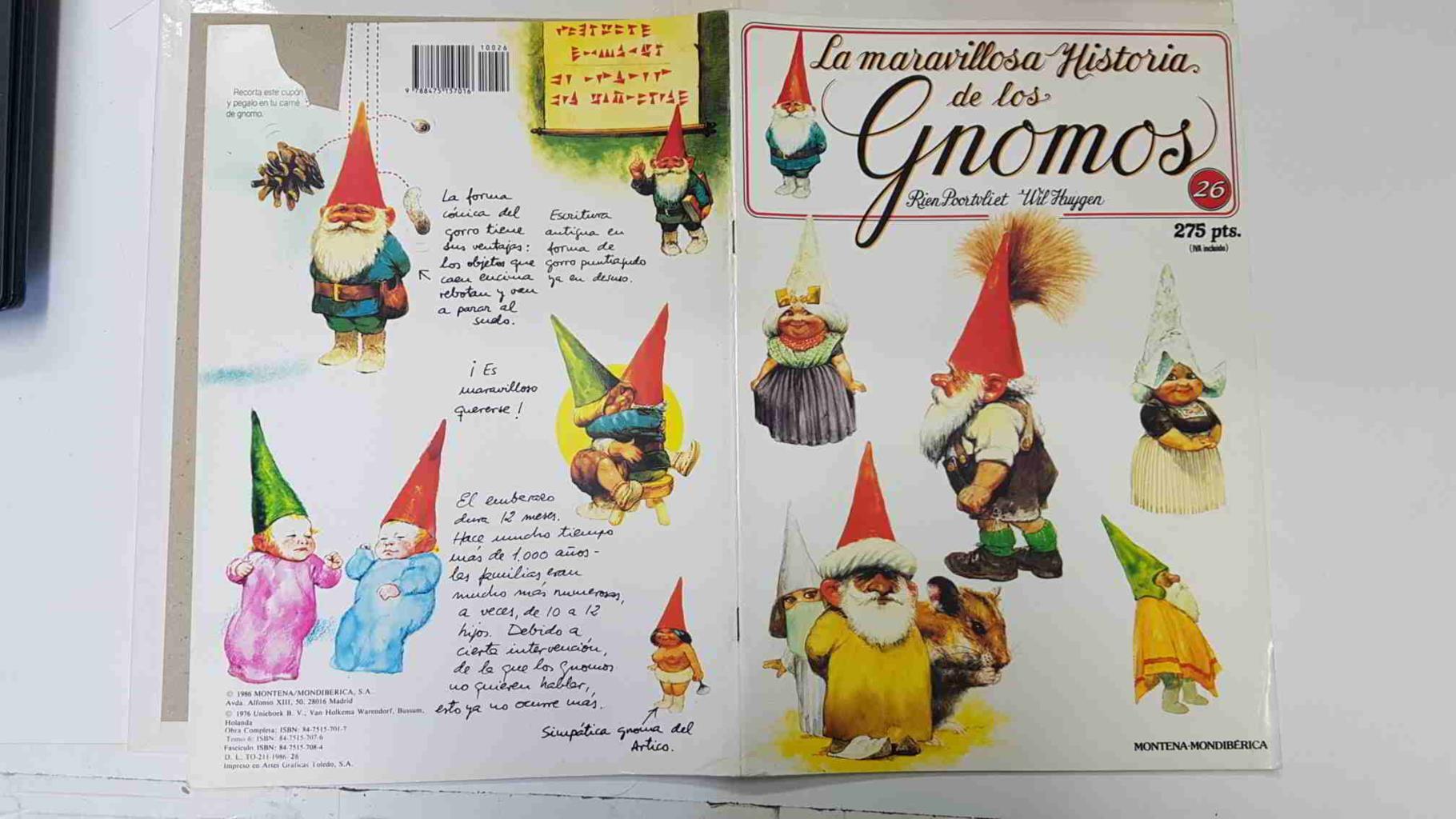 La maravillosa historia de los gnomos fasciculo numero 26