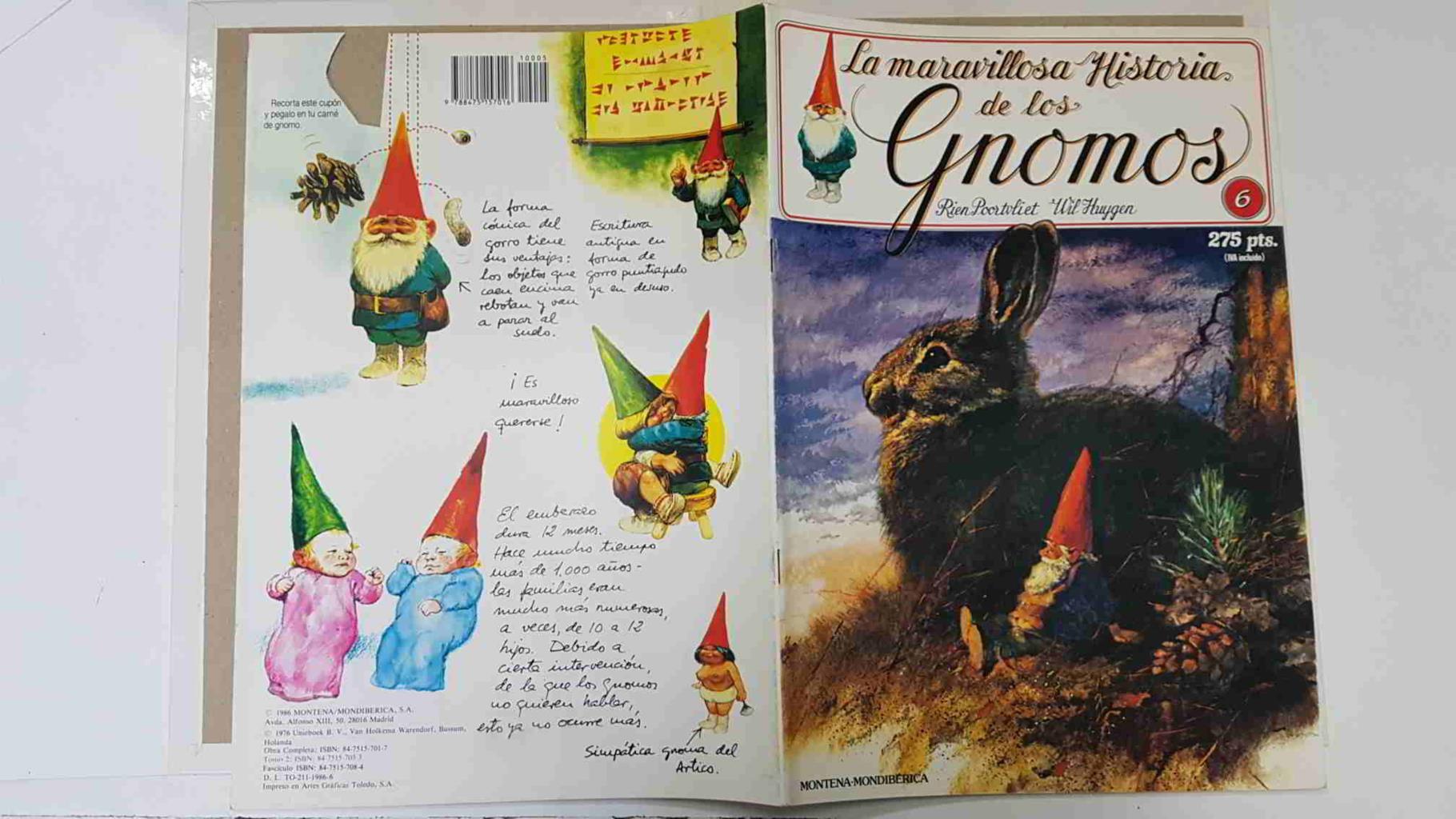 La maravillosa historia de los gnomos fasciculo numero 06