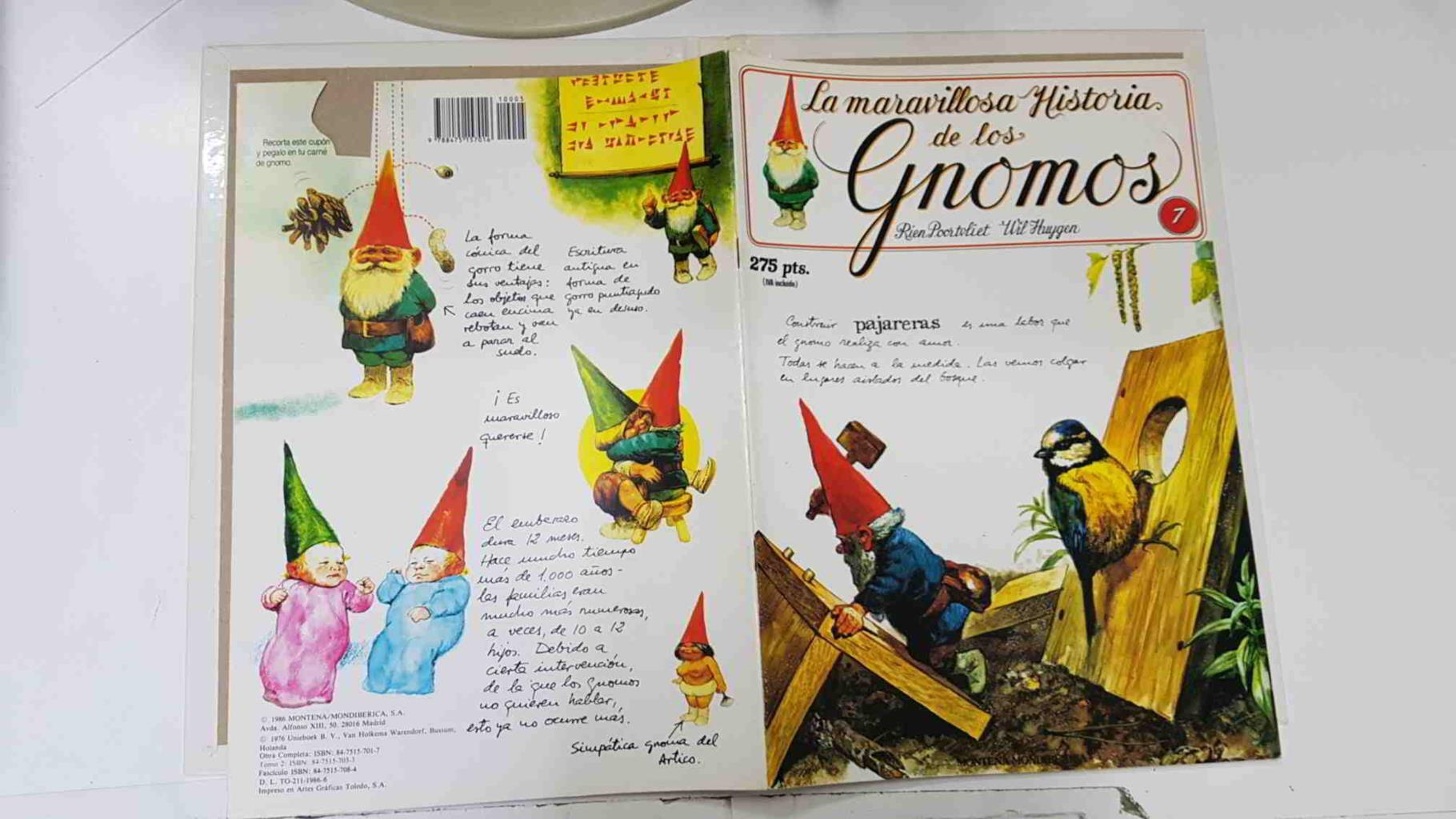 La maravillosa historia de los gnomos fasciculo numero 07
