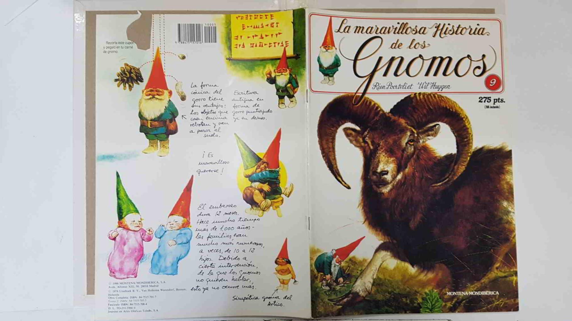 La maravillosa historia de los gnomos fasciculo numero 09
