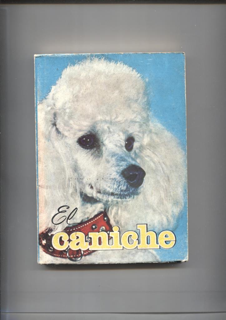 El caniche
