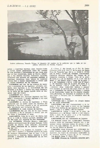 LAMINA VOX 16846: Estany de Banyoles, Girona