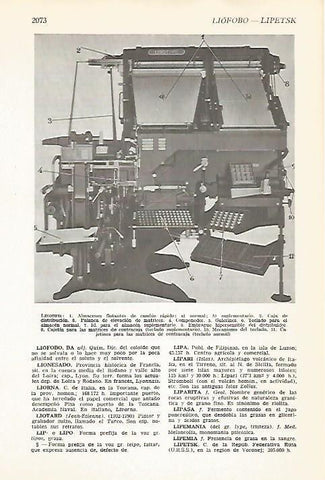 LAMINA VOX 16864: Linotipìa