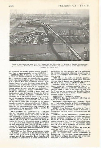 LAMINA VOX 16773: Viaducto en Nueva York