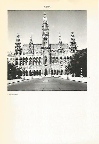 LAMINA VOX 16771: La Rathaus en Viena