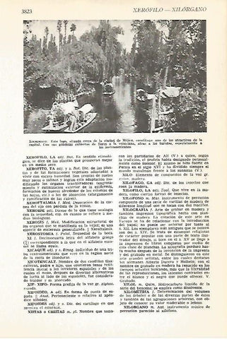 LAMINA VOX 16805: Lago Xochimilco, Mexico