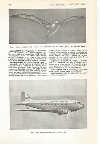 LAMINA VOX 16792: Albatro y avion del 1958