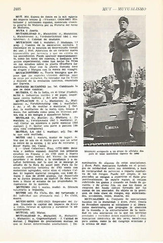 LAMINA VOX 16963: Mussolini hablando a sus oficiales