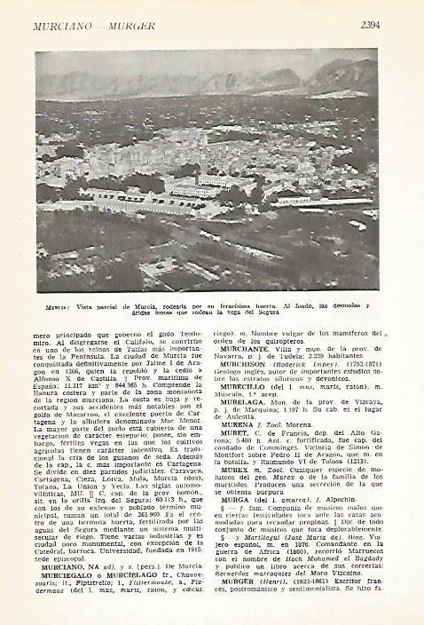 LAMINA VOX 16959: Vista parcial de Murcia