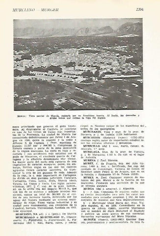 LAMINA VOX 16959: Vista parcial de Murcia