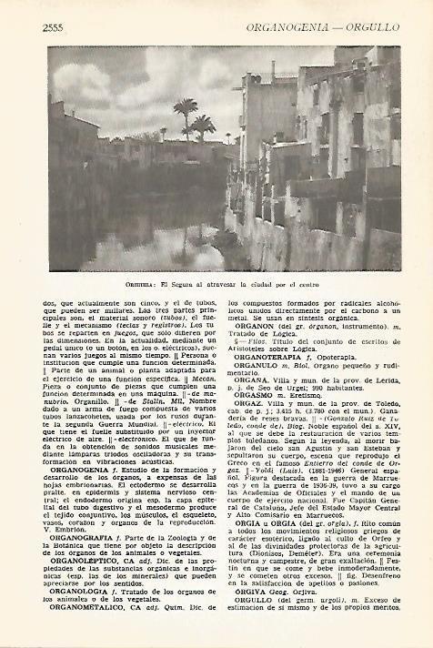 LAMINA VOX 16995: El rio Segura a su paso por Orihuela