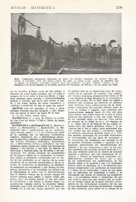 LAMINA VOX 16911: Plantacion de mate en Paraguay