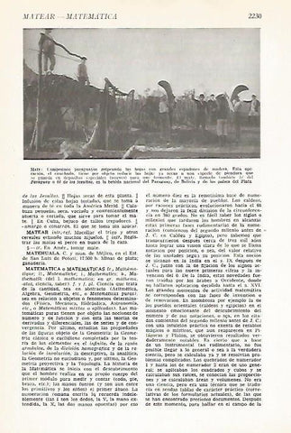LAMINA VOX 16911: Plantacion de mate en Paraguay