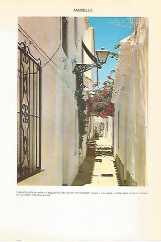 LAMINA VOX 16906: Calle de Malaga