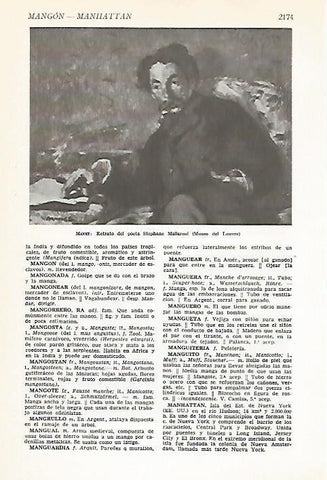 LAMINA VOX 16897: Retrato del poeta Mallarme, por Manet