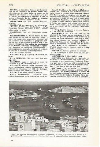 LAMINA VOX 16895: La Veleta, Malta