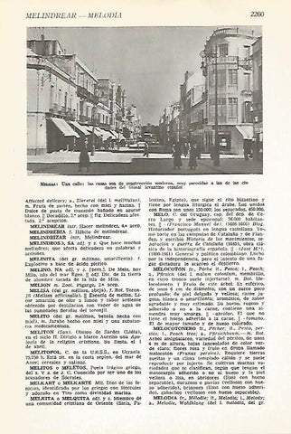 LAMINA VOX 16923: Calle de Melilla