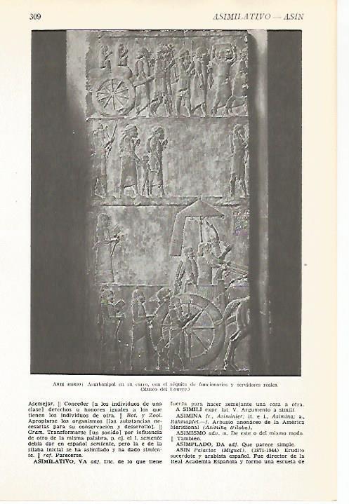 LAMINA VOX 16571: Relieve de Asurbanipal