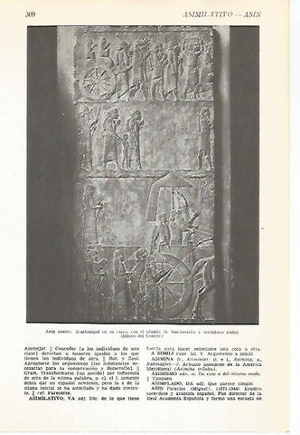 LAMINA VOX 16571: Relieve de Asurbanipal