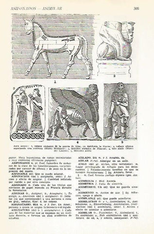 LAMINA VOX 16570: Arte asirio