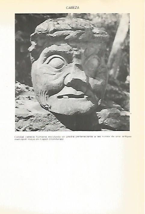 LAMINA VOX 16623: Cabeza maya en Copan, Honduras