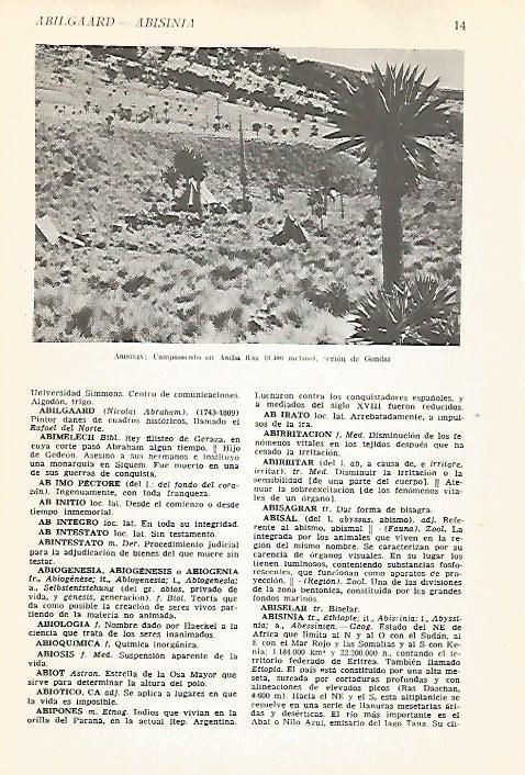 LAMINA VOX 16505: Campamento de Amba Ras, Etiopia