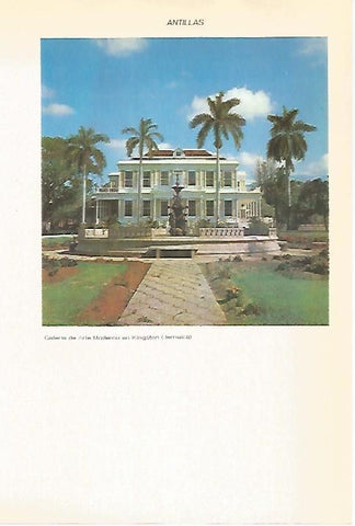 LAMINA VOX 16559: Galeria de  Arte Moderno en Kingston, Jamaica