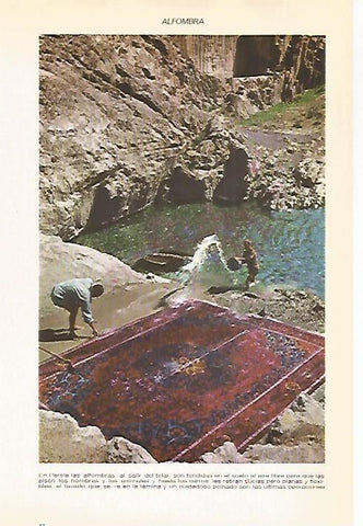 LAMINA VOX 16537: Alfombras en Iran