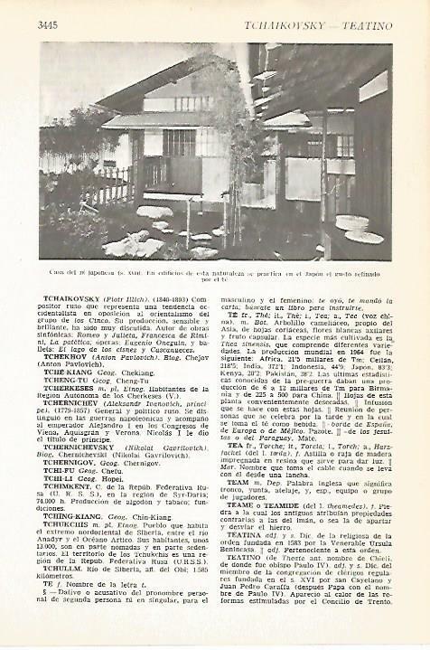 LAMINA VOX 16693: Casa de te en Japon