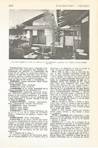 LAMINA VOX 16693: Casa de te en Japon
