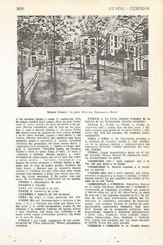 LAMINA VOX 16749:La Plaza Ravignon, por M. Utrillo 