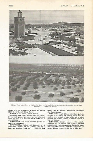 LAMINA VOX 16735: Vista de Tunez