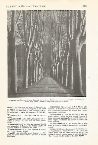LAMINA VOX 16646: Carretera en Girona