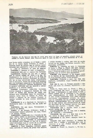 LAMINA VOX 16689: Rio Derwent